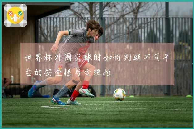 世界杯外围买球时如何判断不同平台的安全性与合理性