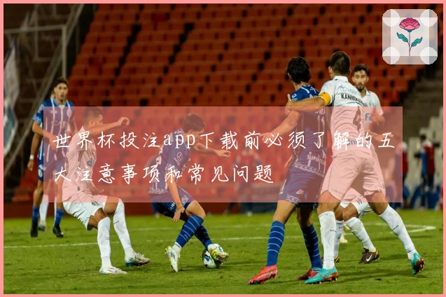 世界杯投注app下载前必须了解的五大注意事项和常见问题