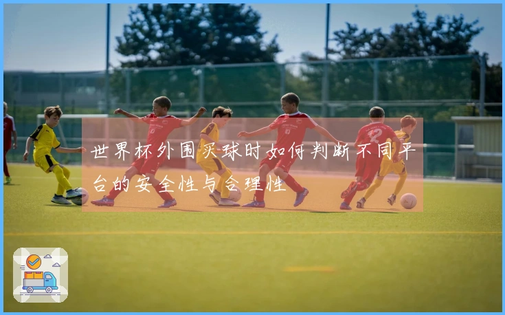 世界杯外围买球时如何判断不同平台的安全性与合理性